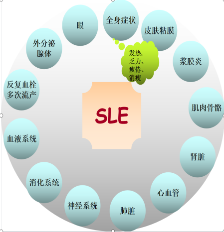 圖片3.png 圖片3.png